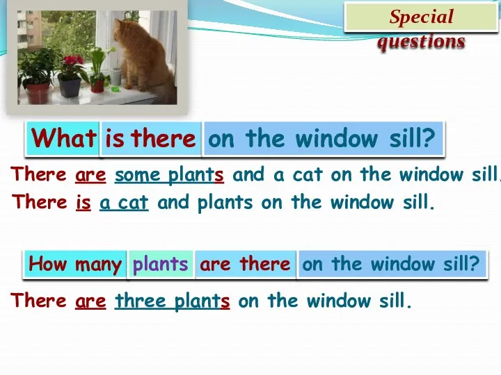 Special questions What is there on the window sill? How