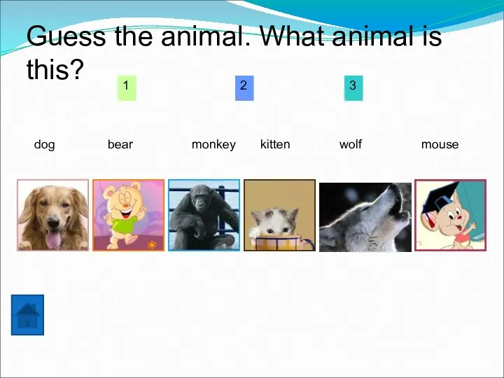 Guess the animal. What animal is this? 1 2 3 dog bear monkey kitten wolf mouse