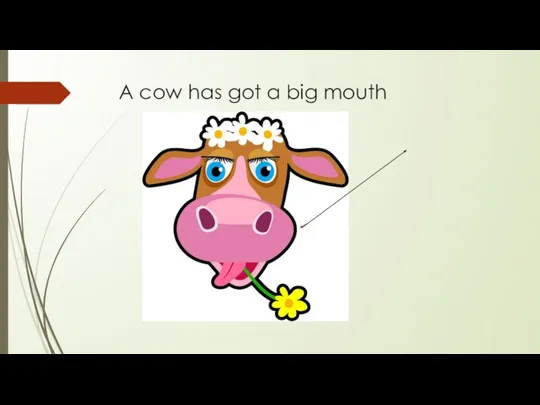 A cow has got a big mouth