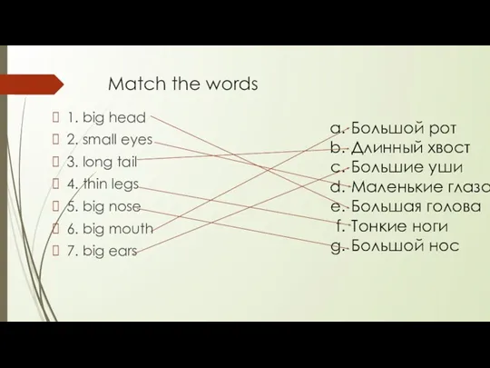 Match the words 1. big head 2. small eyes 3.