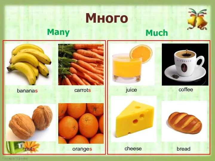 Много Many Much bananas carrots nuts oranges juice coffee cheese bread