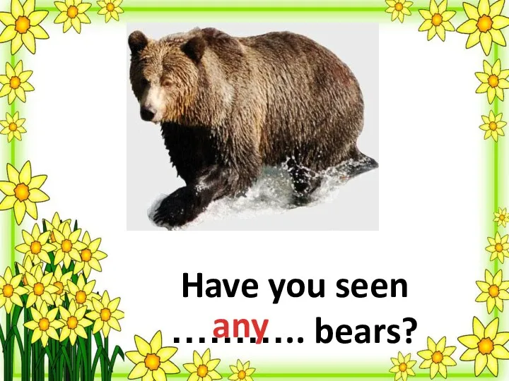 Have you seen ……….. bears? any