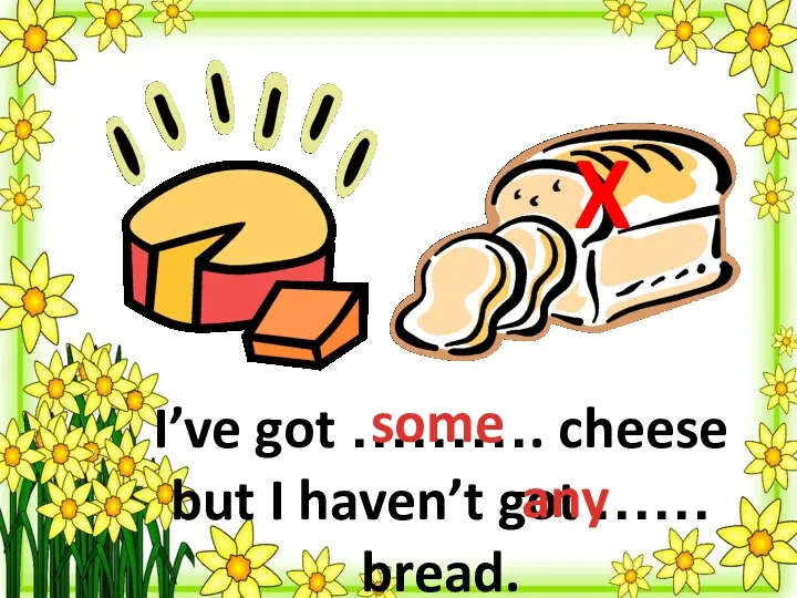 I’ve got ………. cheese but I haven’t got …… bread. some any X