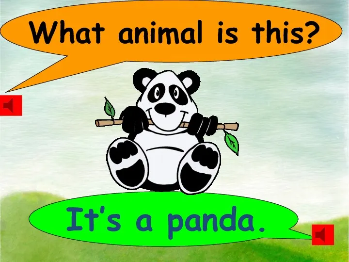 What animal is this? It’s a panda.