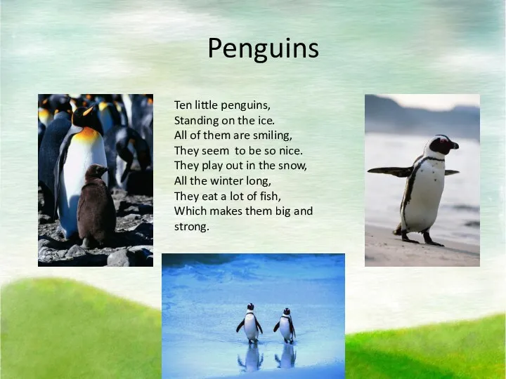 Penguins Ten little penguins, Standing on the ice. All of