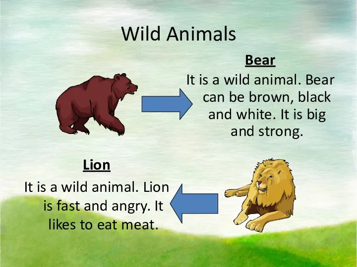 Wild Animals Bear It is a wild animal. Bear can