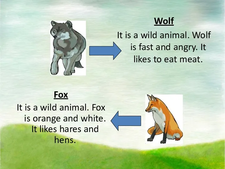 Wolf It is a wild animal. Wolf is fast and