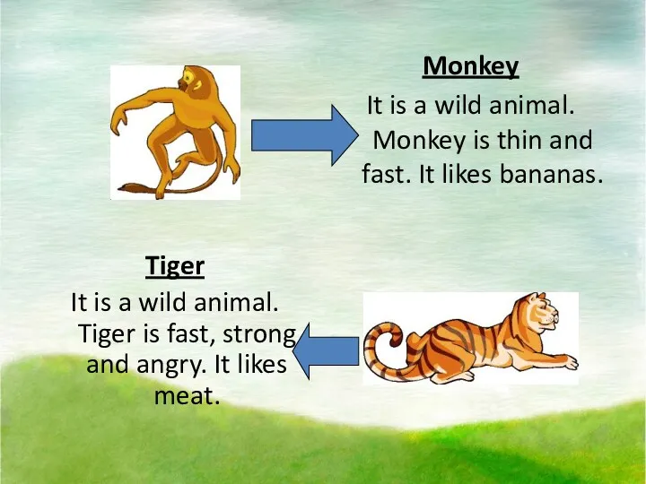 Monkey It is a wild animal. Monkey is thin and