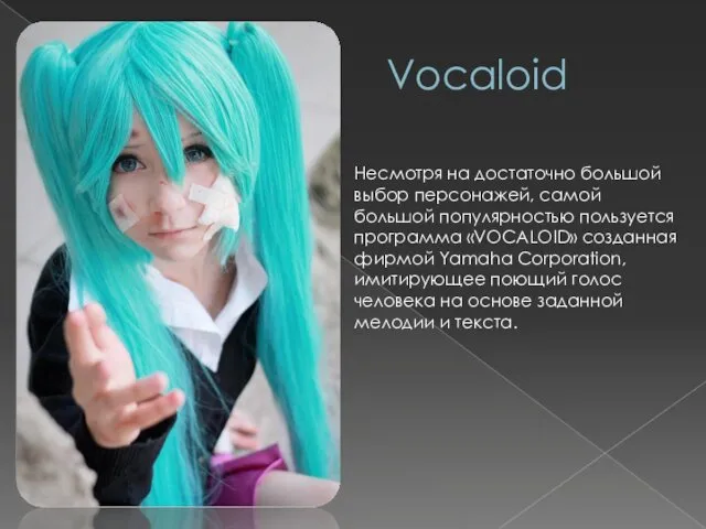 Vocaloid Несмотря на достаточно большой выбор персонажей, самой большой популярностью