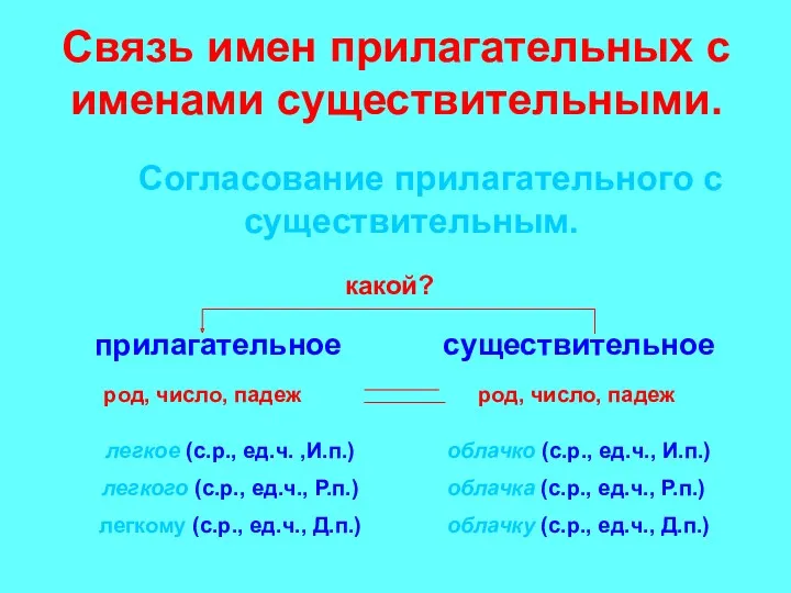 Связь имен прилагательных с именами существительными. Согласование прилагательного с существительным.