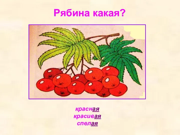 Рябина какая? красная красивая спелая