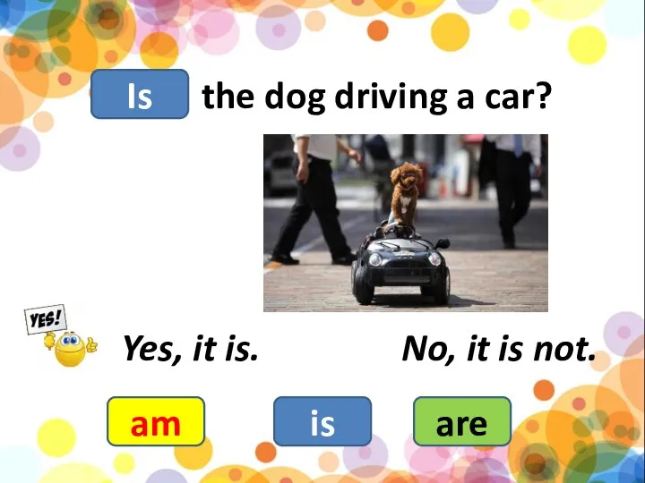 the dog driving a car? am is are Yes, it is. No, it is not. Is