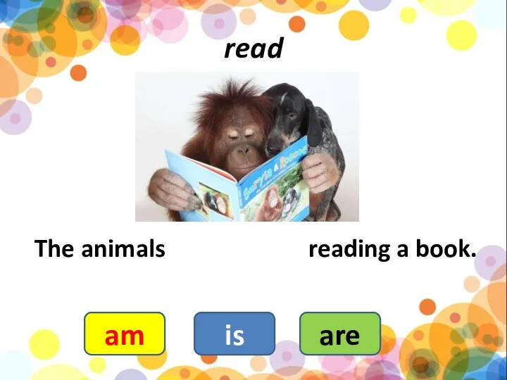 read The animals reading a book. are is am