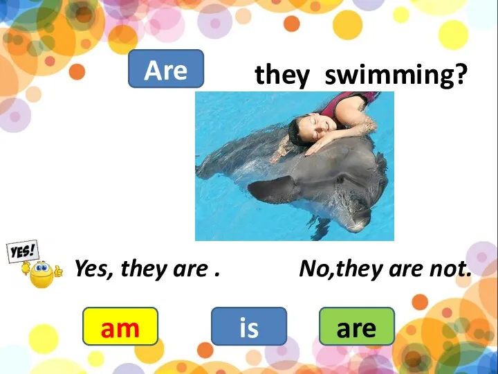 they swimming? am is are Yes, they are . No,they are not. Are