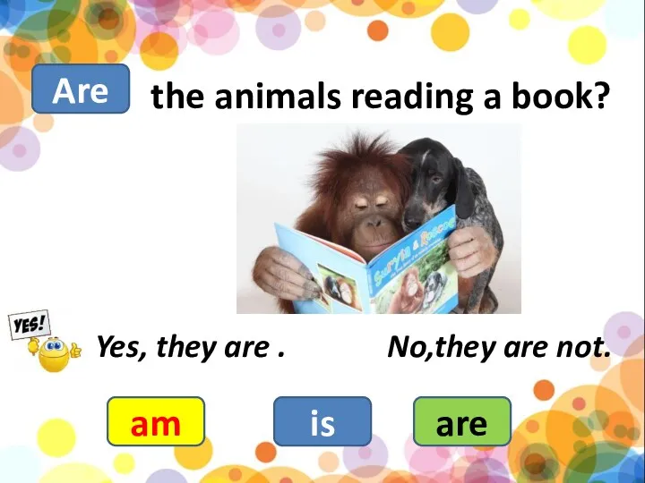 the animals reading a book? am is are Yes, they are . No,they are not. Are