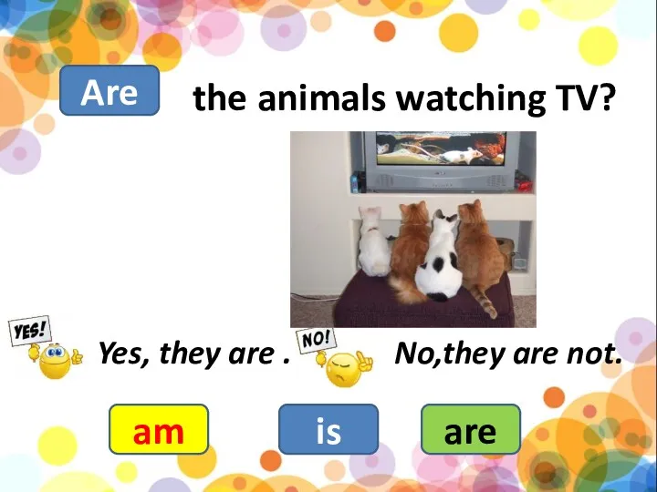 the animals watching TV? am is are Yes, they are . No,they are not. Are