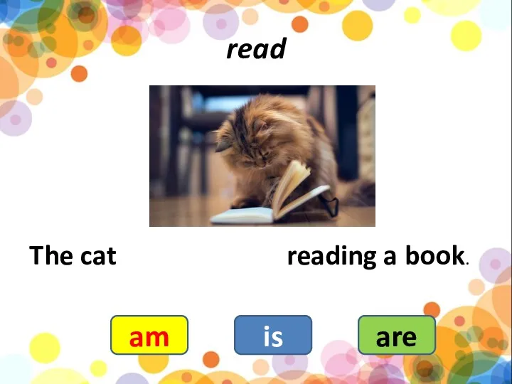 read The cat reading a book. am is are