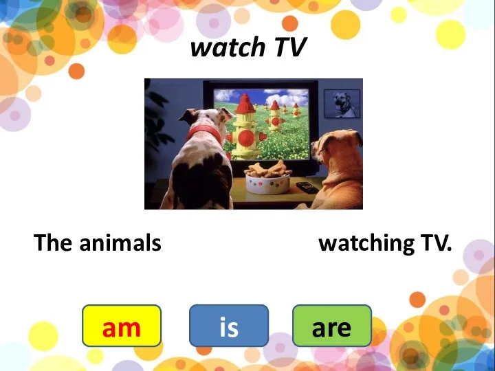 watch TV The animals watching TV. are is am