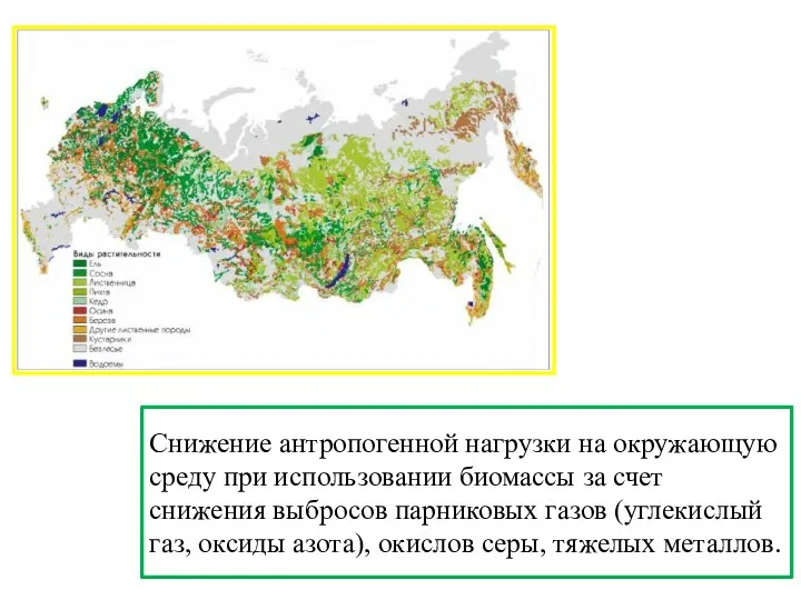 Снижение антропогенной нагрузки на окружающую среду при использовании биомассы за