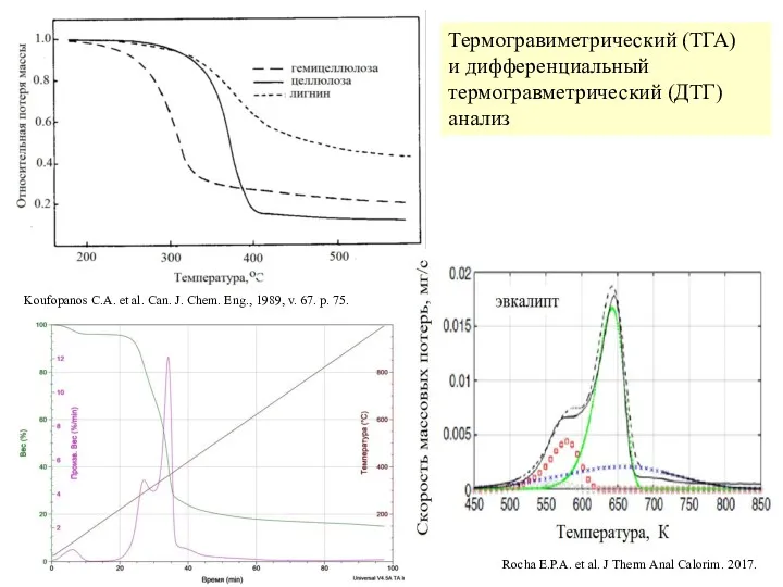 Koufopanos C.A. et al. Can. J. Chem. Eng., 1989, v.