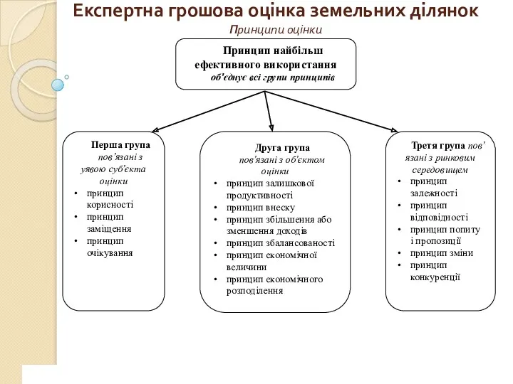 Експертна грошова оцінка земельних ділянок Принципи оцінки www.сайт_компании.ру Company Logo