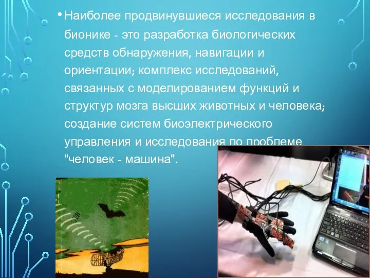Наиболее продвинувшиеся исследования в бионике - это разработка биологических средств