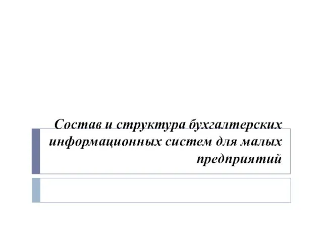 Состав и структура бухгалтерских информационных систем для малых предприятий