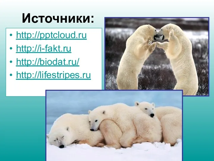 Источники: http://pptcloud.ru http://i-fakt.ru http://biodat.ru/ http://lifestripes.ru