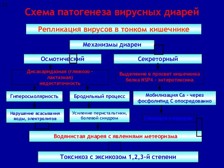 Схема патогенеза вирусных диарей Репликация вирусов в тонком кишечнике Дисахаридазная