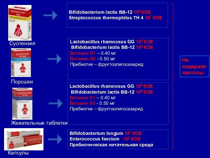 Bifidobacterium lactis BB-12 108 КОЕ Streptococcus thermophilus TH 4 107 КОЕ Lactobacillus rhamnosus