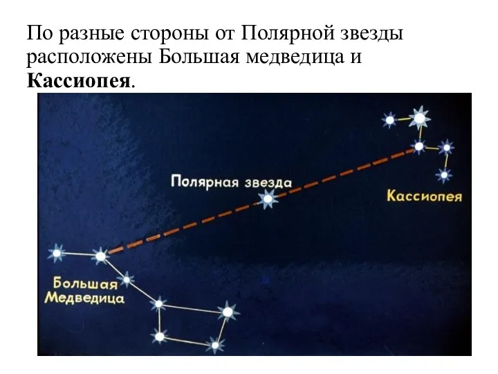 По разные стороны от Полярной звезды расположены Большая медведица и Кассиопея.