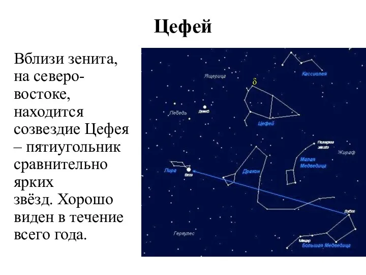 Вблизи зенита, на северо-востоке, находится созвездие Цефея – пятиугольник сравнительно