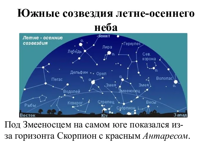 Южные созвездия летне-осеннего неба Под Змееносцем на самом юге показался из-за горизонта Скорпион с красным Антаресом.