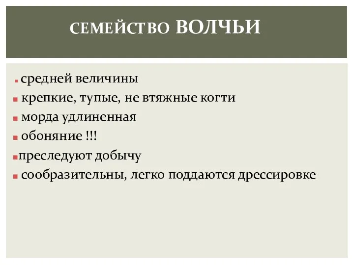 СЕМЕЙСТВО ВОЛЧЬИ средней величины крепкие, тупые, не втяжные когти морда