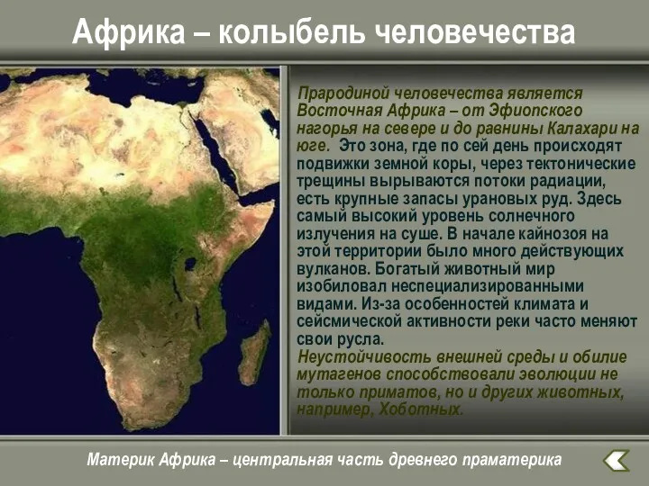 Африка – колыбель человечества Прародиной человечества является Восточная Африка – от Эфиопского нагорья
