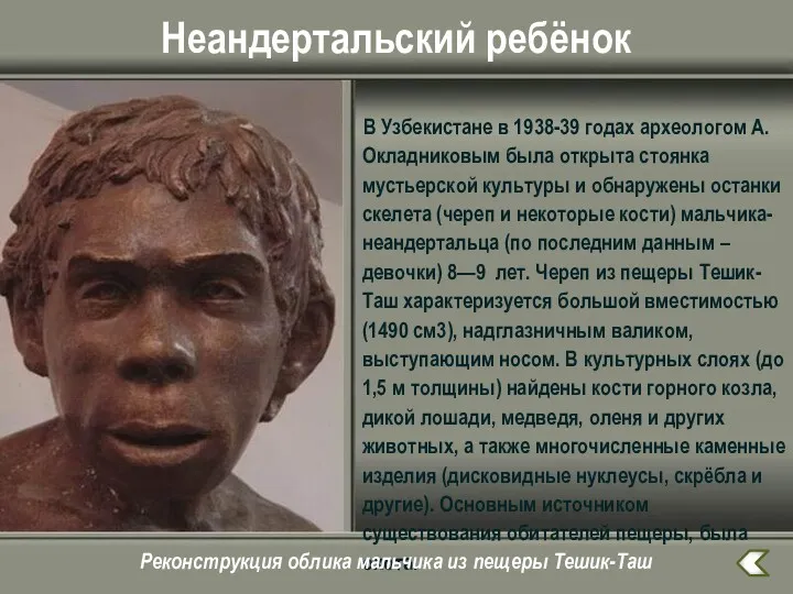 Неандертальский ребёнок В Узбекистане в 1938-39 годах археологом А.Окладниковым была открыта стоянка мустьерской