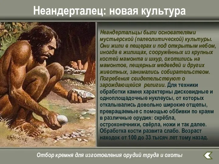 Неандерталец: новая культура Неандертальцы были основателями мустьерской (палеолитической) культуры. Они жили в пещерах
