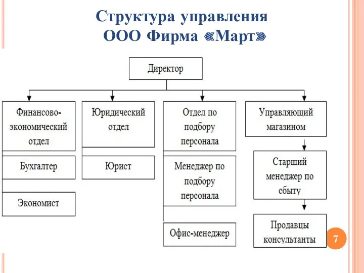 Структура управления ООО Фирма «Март»