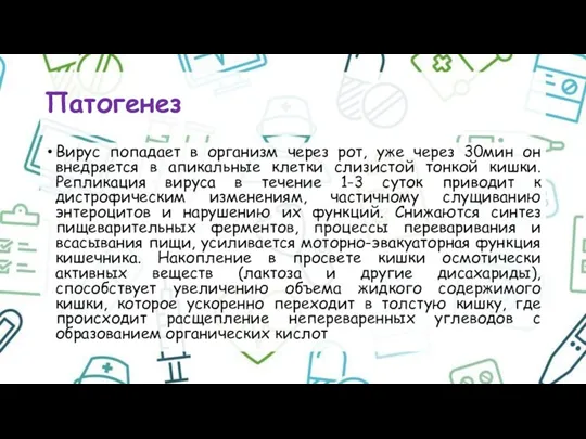 Патогенез Вирус попадает в организм через рот, уже через 30мин