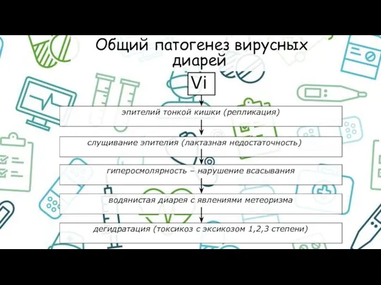 Общий патогенез вирусных диарей Vi эпителий тонкой кишки (репликация) слущивание