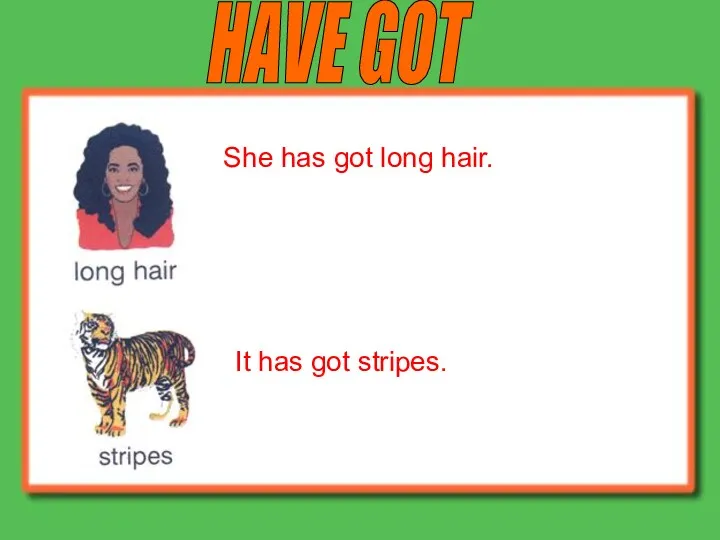 HAVE GOT She has got long hair. It has got stripes.