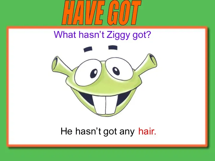 HAVE GOT He hasn’t got any What hasn’t Ziggy got? hair.
