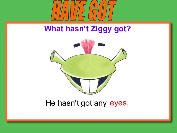 HAVE GOT He hasn’t got any What hasn’t Ziggy got? eyes.