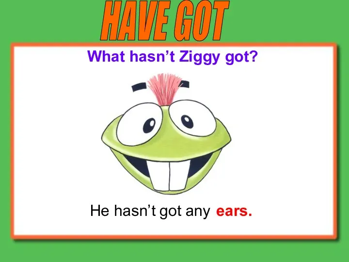 HAVE GOT He hasn’t got any What hasn’t Ziggy got? ears.