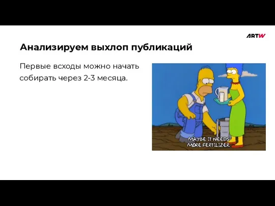 Анализируем выхлоп публикаций Первые всходы можно начать собирать через 2-3 месяца.