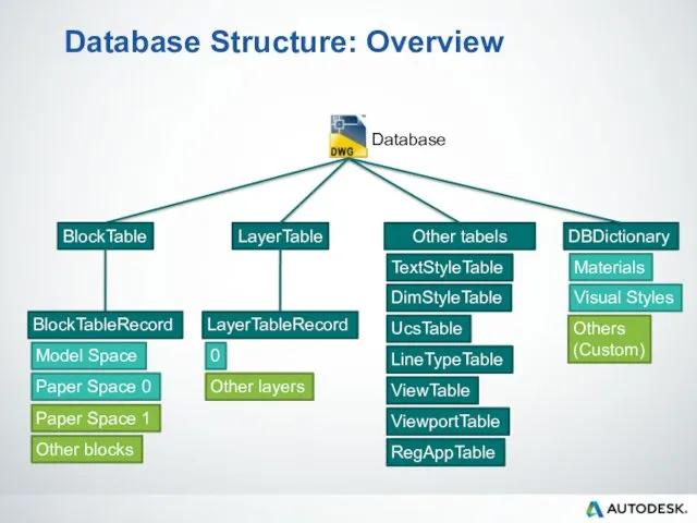 Database Structure: Overview Database BlockTable LayerTable Other tabels Model Space