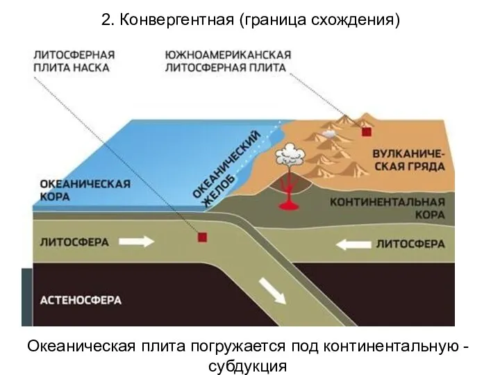 2. Конвергентная (граница схождения) Океаническая плита погружается под континентальную - субдукция