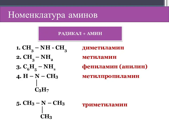 Номенклатура аминов РАДИКАЛ + АМИН 1. СН3 – NН -