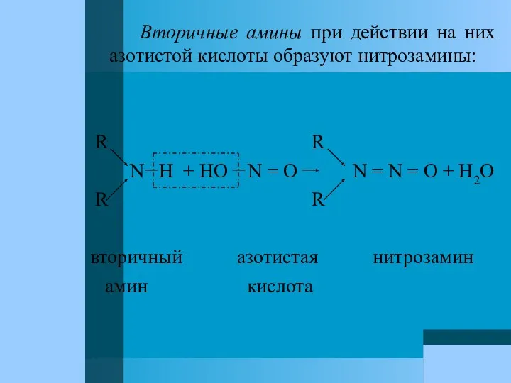 Вторичные амины при действии на них азотистой кислоты образуют нитрозамины: