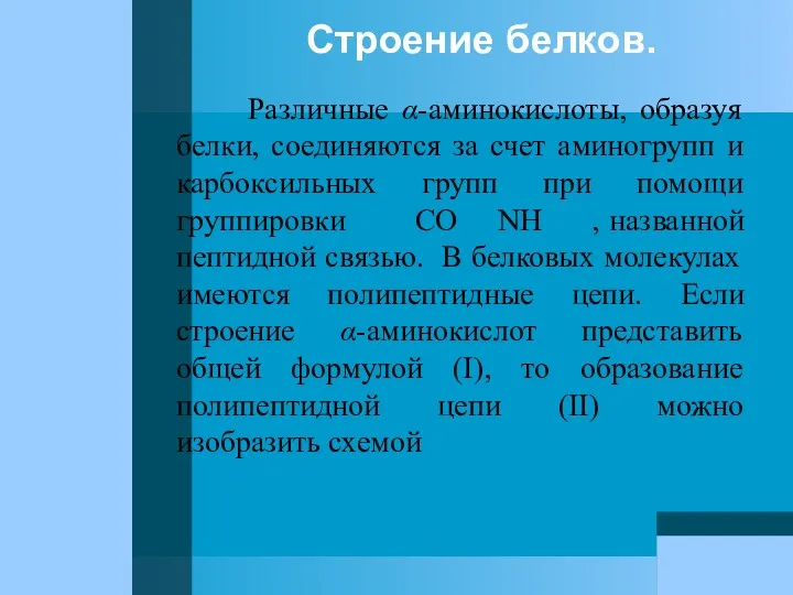 Строение белков. Различные α-аминокислоты, образуя белки, соединяются за счет аминогрупп